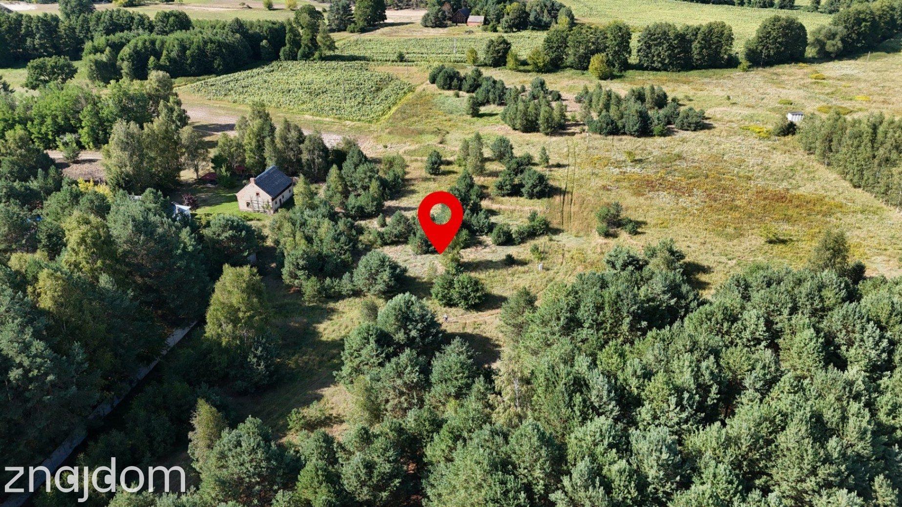 Działka w lesie 3006 m² | pozwolenie na budowę - zdjęcie 10