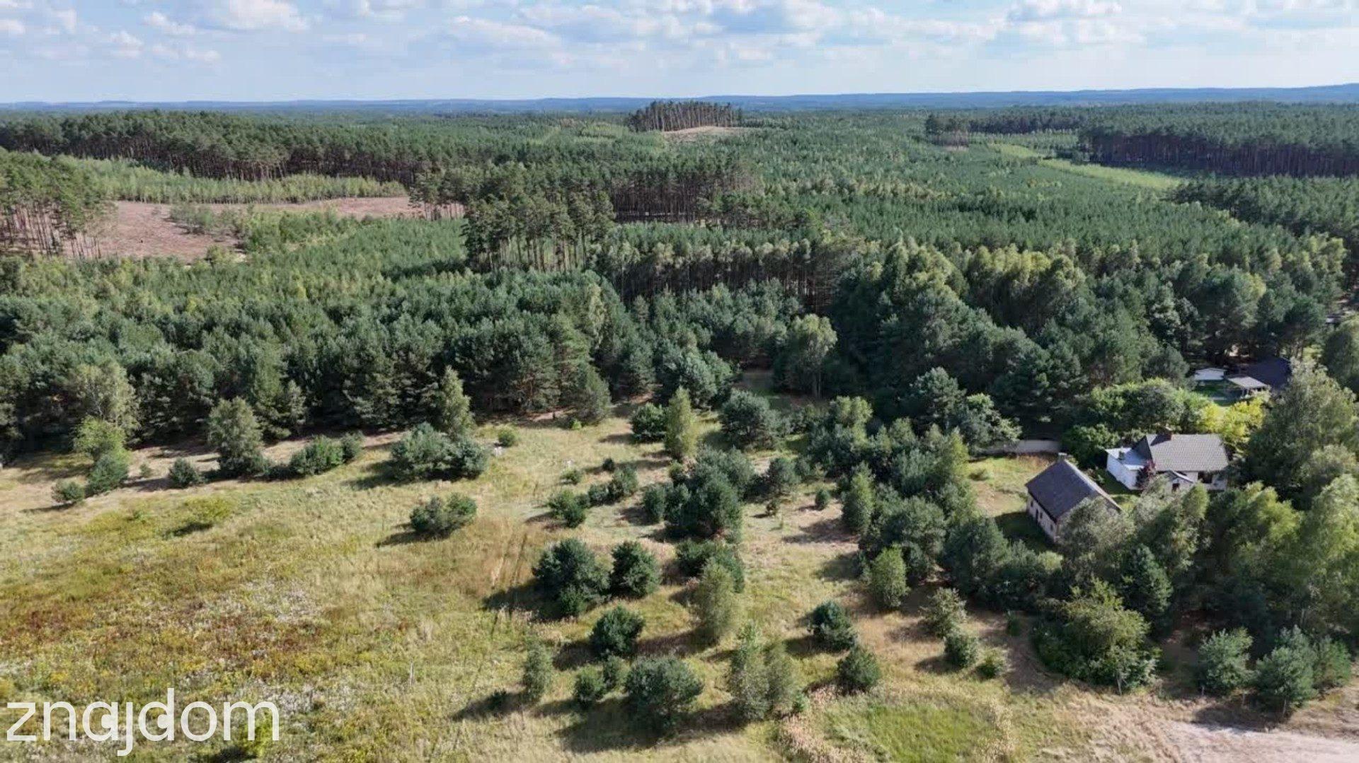 Działka w lesie 3006 m² | pozwolenie na budowę - zdjęcie 11