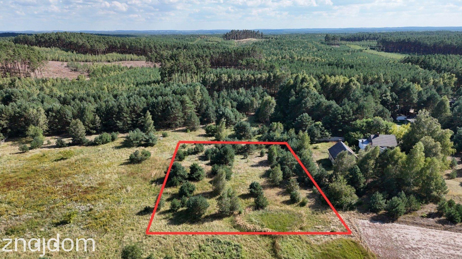 Działka w lesie 3006 m² | pozwolenie na budowę - zdjęcie 12