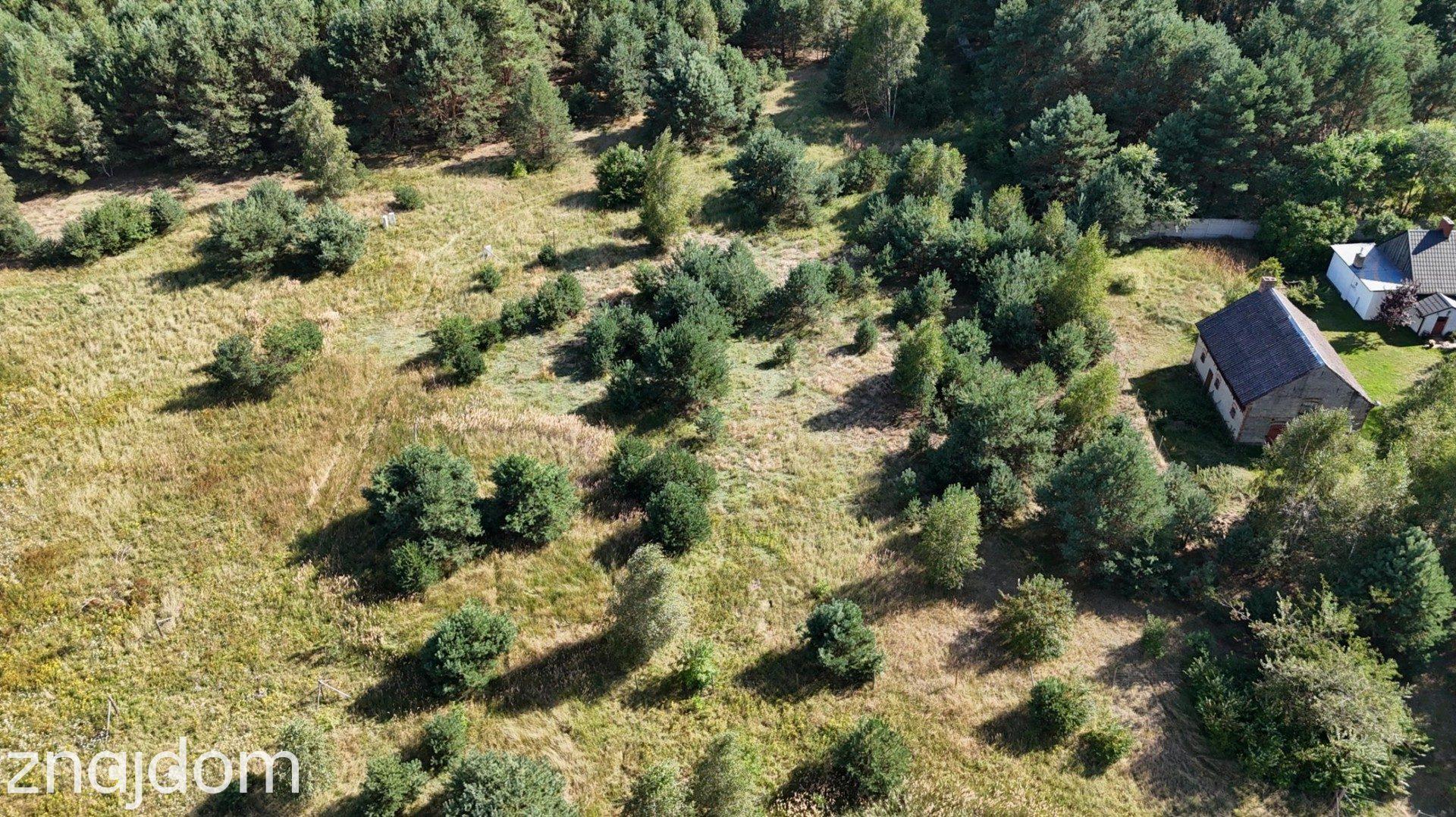 Działka w lesie 3006 m² | pozwolenie na budowę - zdjęcie 13