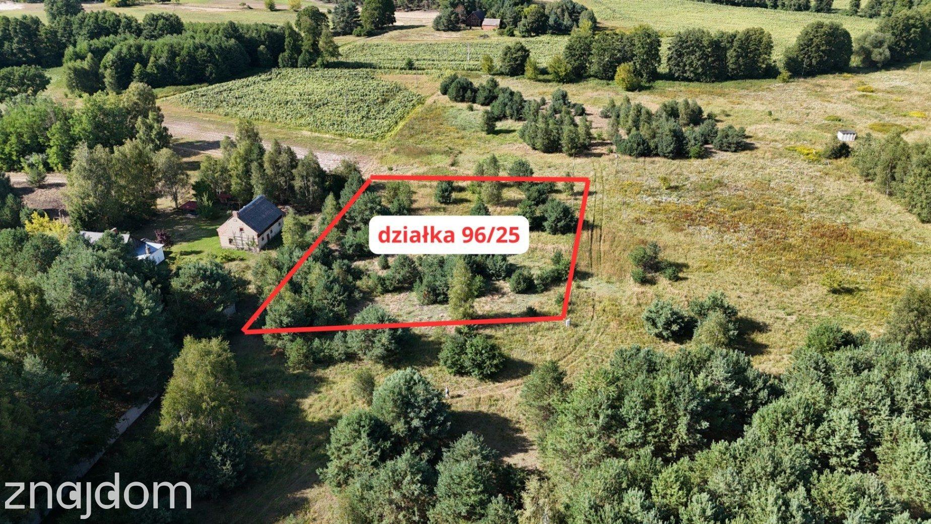Działka w lesie 3006 m² | pozwolenie na budowę - zdjęcie 2