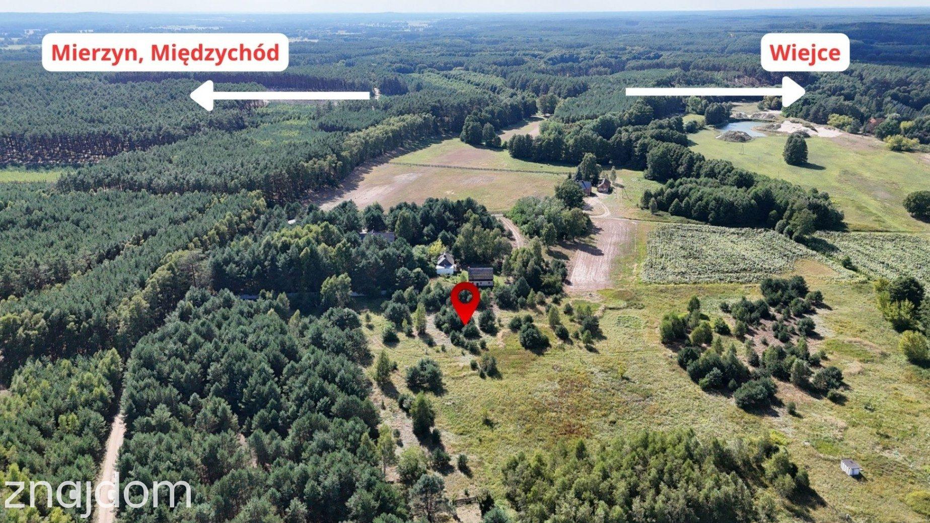 Działka w lesie 3006 m² | pozwolenie na budowę - zdjęcie 3