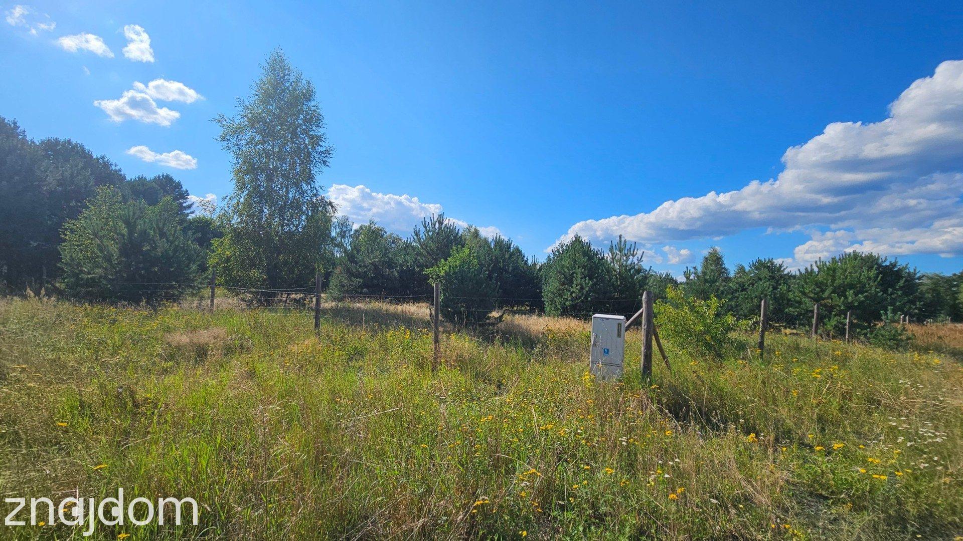 Działka w lesie 3006 m² | pozwolenie na budowę - zdjęcie 4