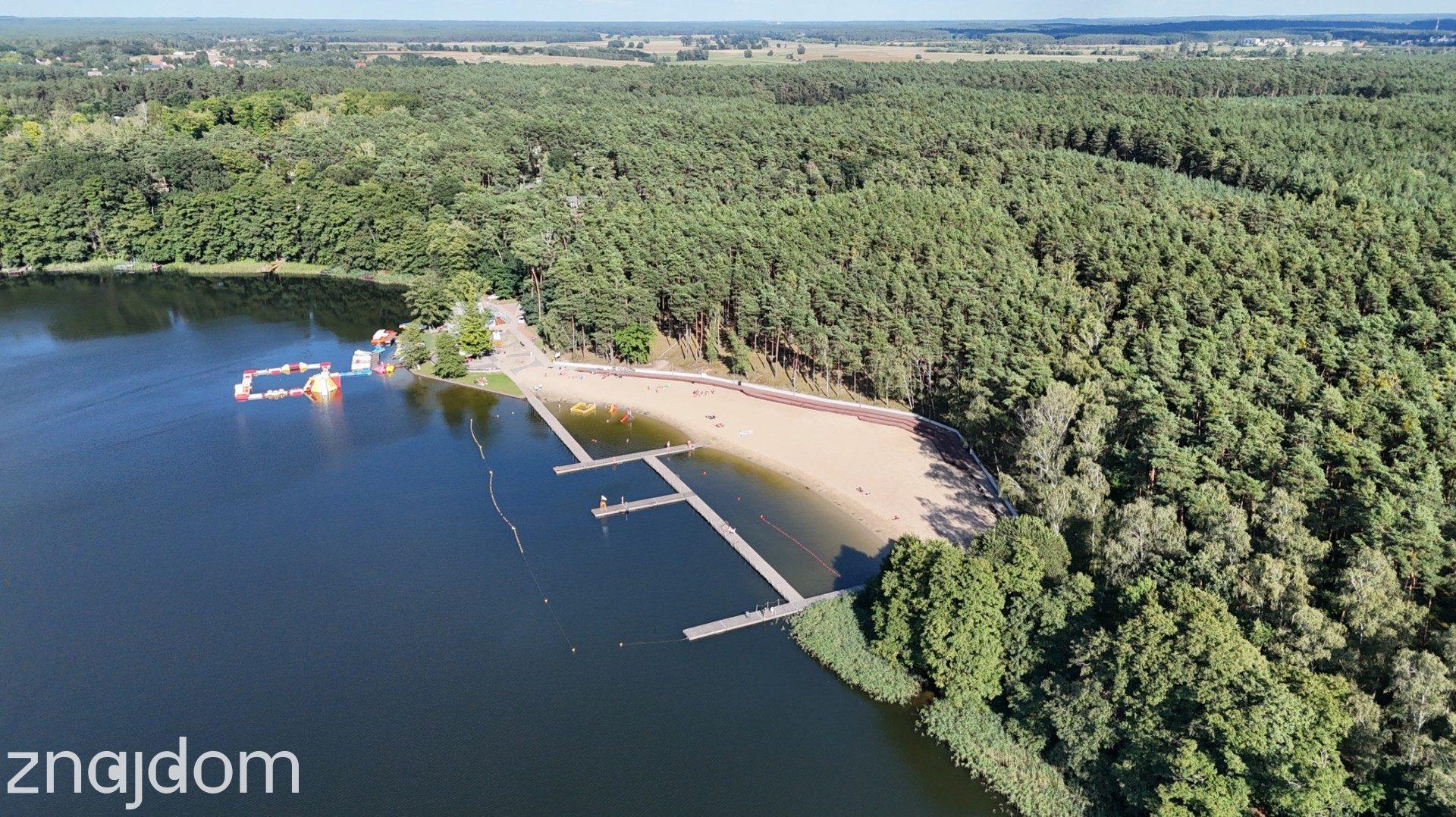 Działka w lesie 3006 m² | pozwolenie na budowę - zdjęcie 6