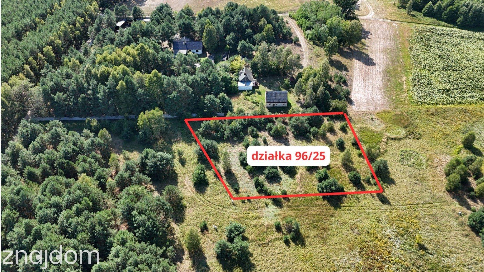 Działka w lesie 3006 m² | pozwolenie na budowę - zdjęcie 7