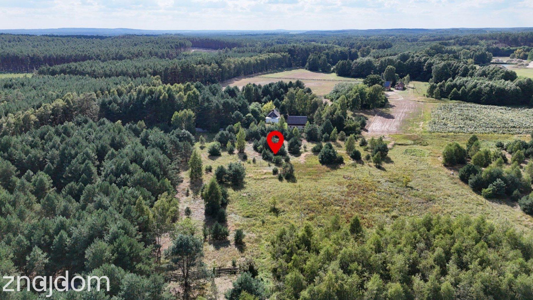 Działka w lesie 3006 m² | pozwolenie na budowę - zdjęcie 8