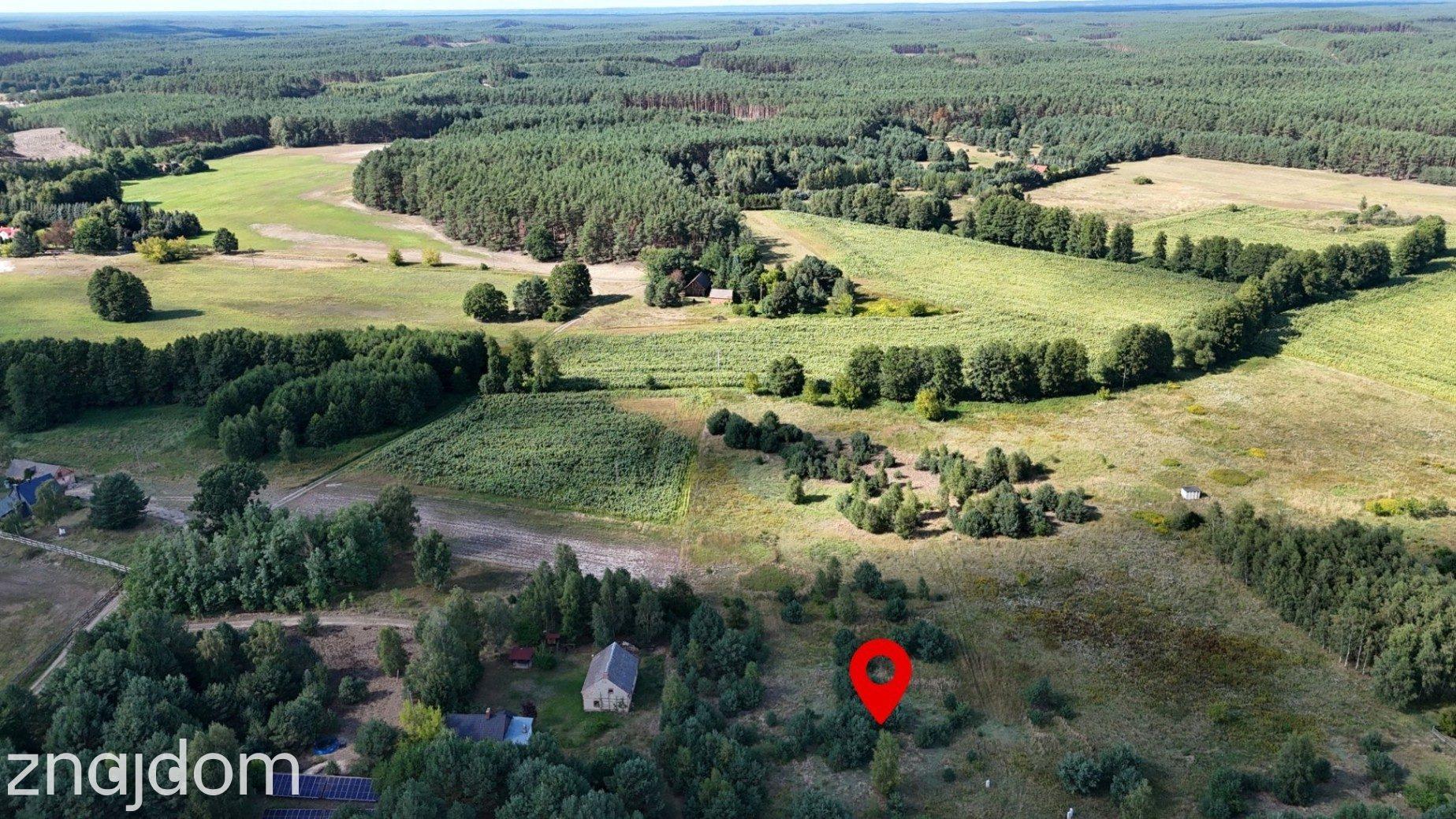 Działka w lesie 3006 m² | pozwolenie na budowę - zdjęcie 9
