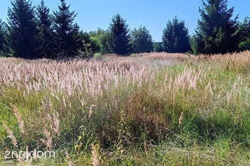 Działka budowlana, Dolice, powiat stargardzki -945 m2, 195 999 PLN - zdjęcie 7