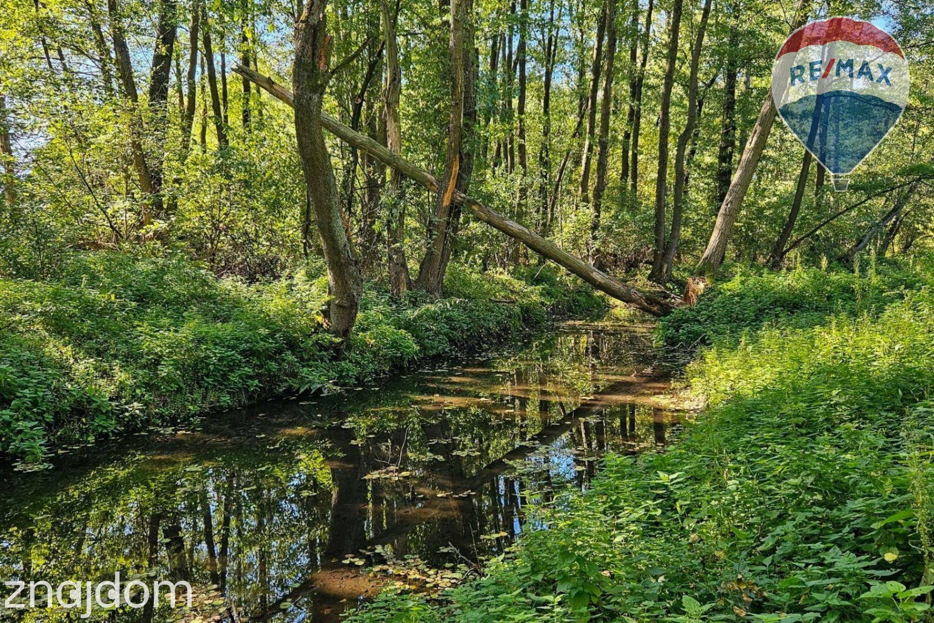 Działka budowlana 2292m2 z lasem nad rzeczką - zdjęcie 7