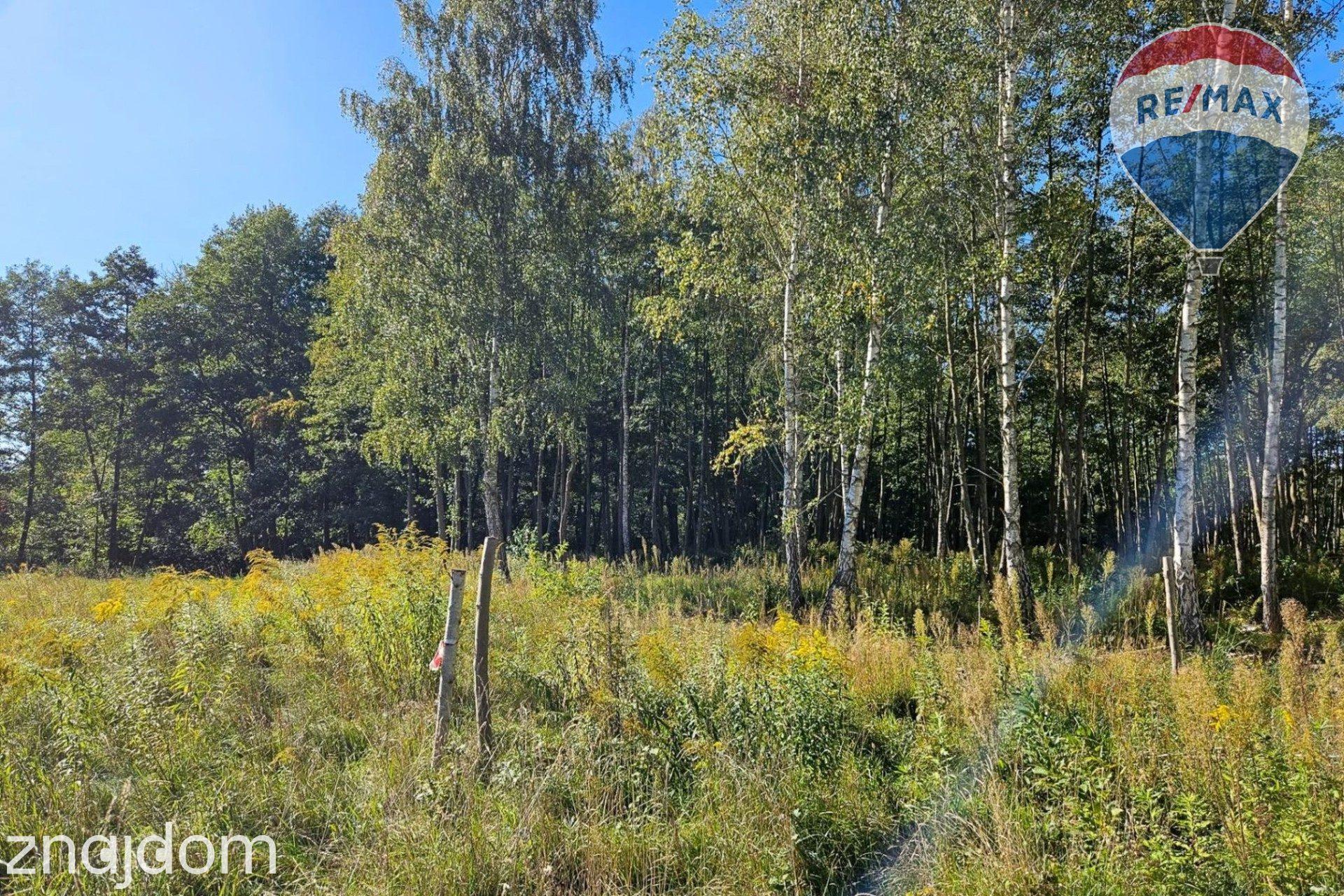 Działka budowlana 1931m2 z lasem nad rzeczką - zdjęcie 2
