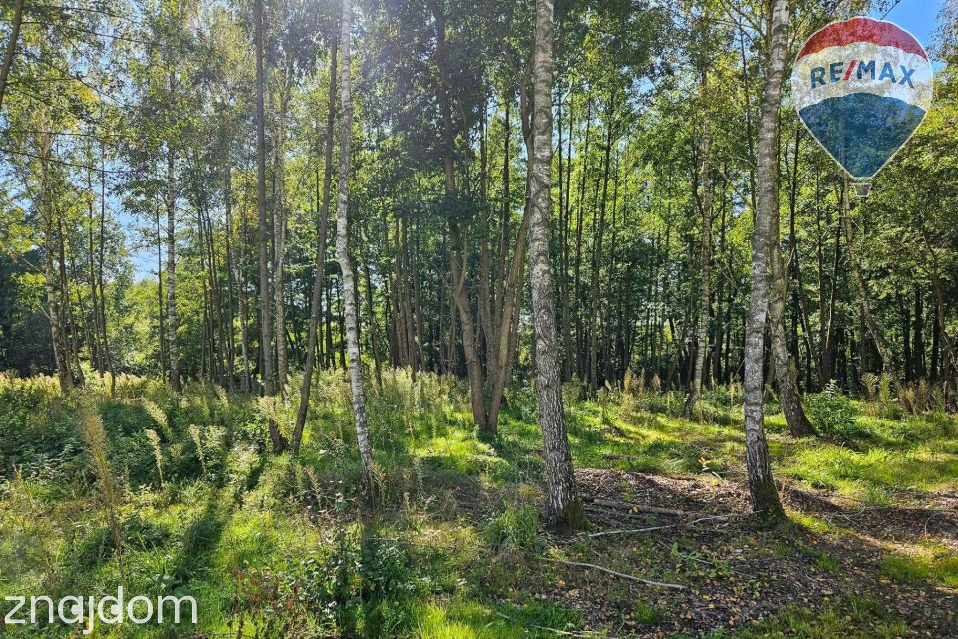 Działka budowlana 1931m2 z lasem nad rzeczką - zdjęcie 3