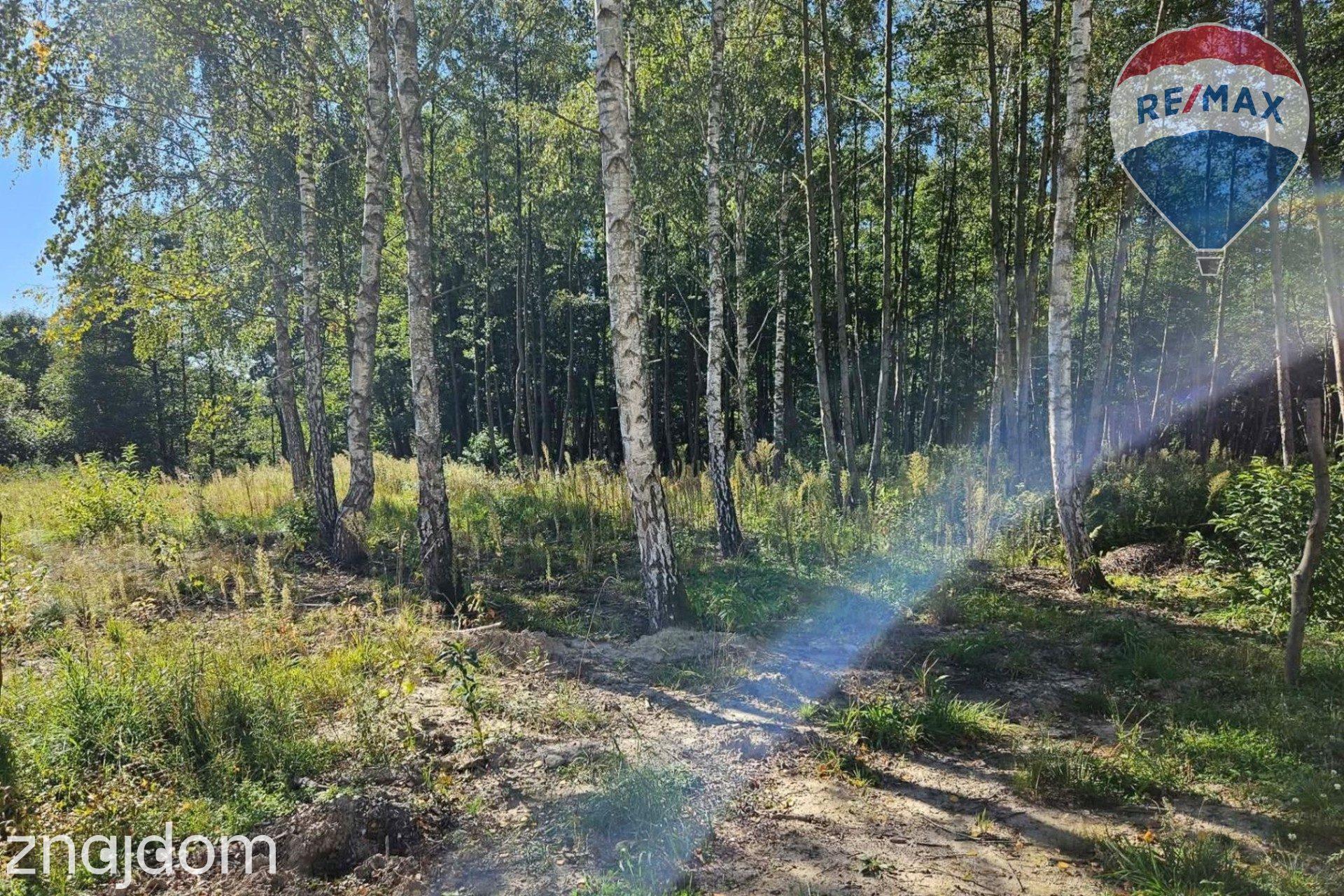 Działka budowlana 1931m2 z lasem nad rzeczką - zdjęcie 4