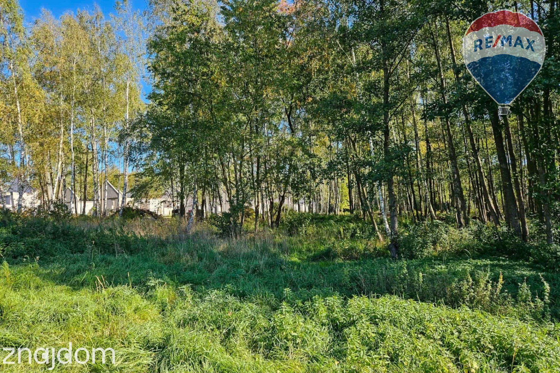 Działka budowlana 2494m2 z lasem nad rzeczką