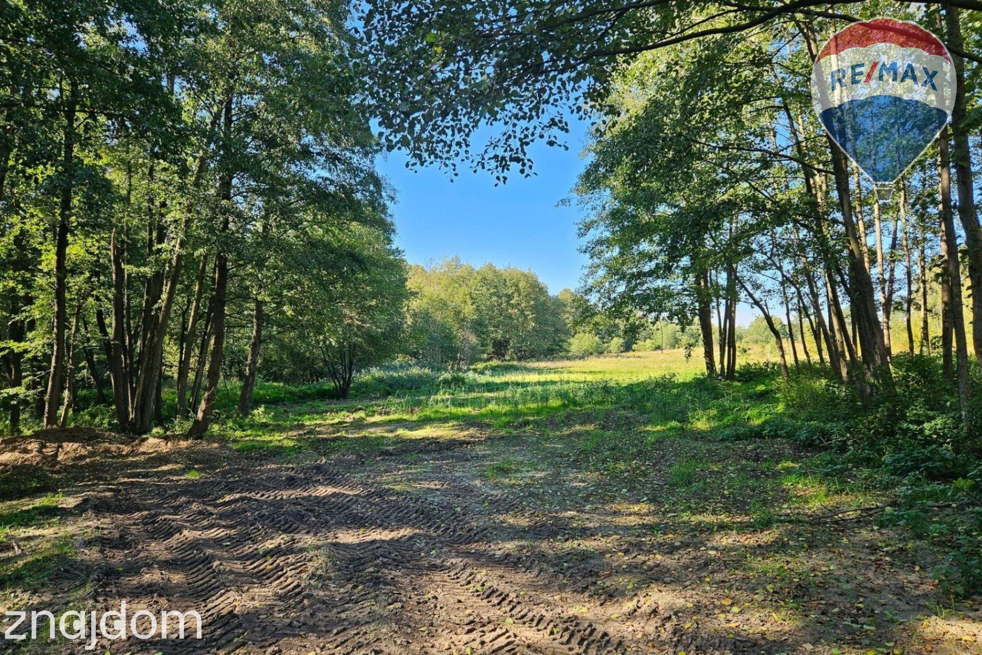 Działka budowlana 2494m2 z lasem nad rzeczką - zdjęcie 2