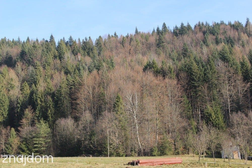 Działka budowlano- rolna w paśmie Pienin – Grywałd - zdjęcie 28