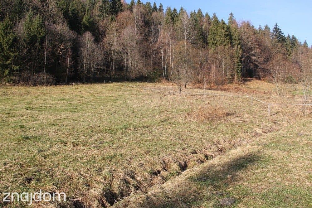Działka budowlano- rolna w paśmie Pienin – Grywałd - zdjęcie 29
