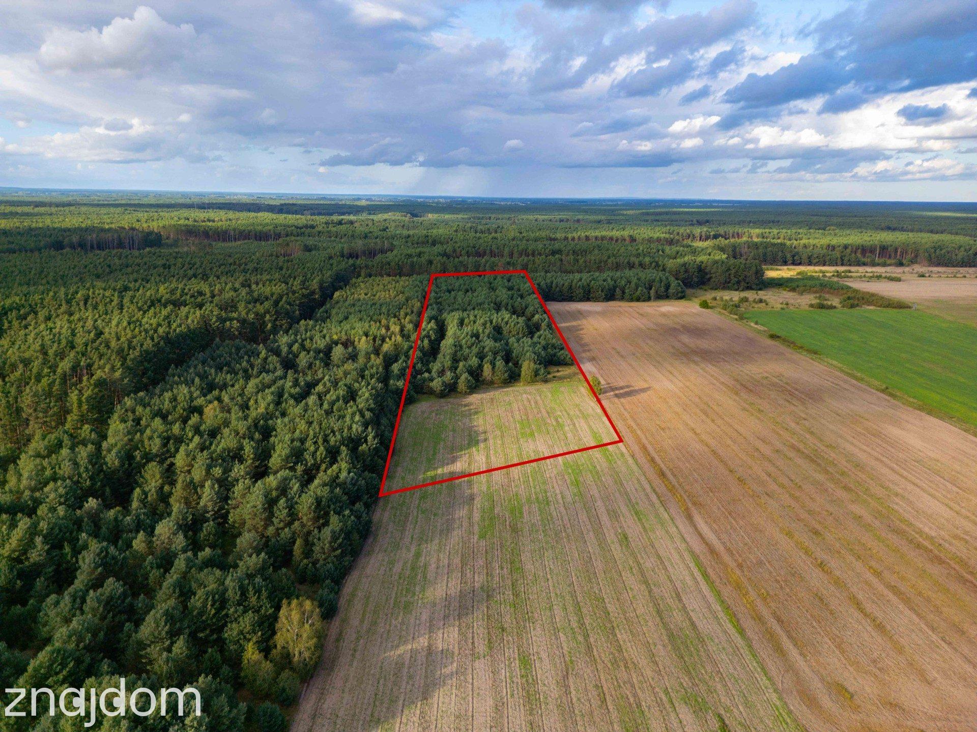 Działka rolna Jędrzejewo, gm. Czarnków