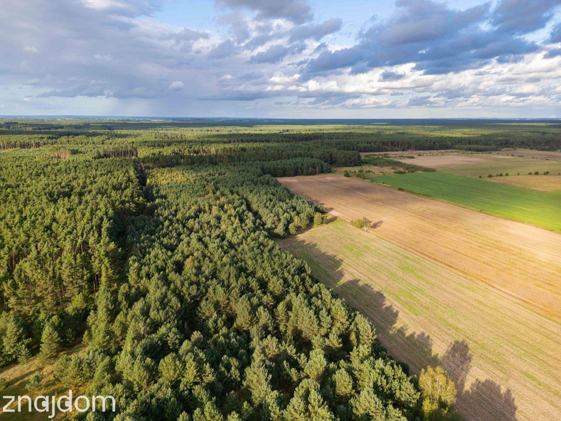 Działka rolna Jędrzejewo, gm. Czarnków - zdjęcie 3