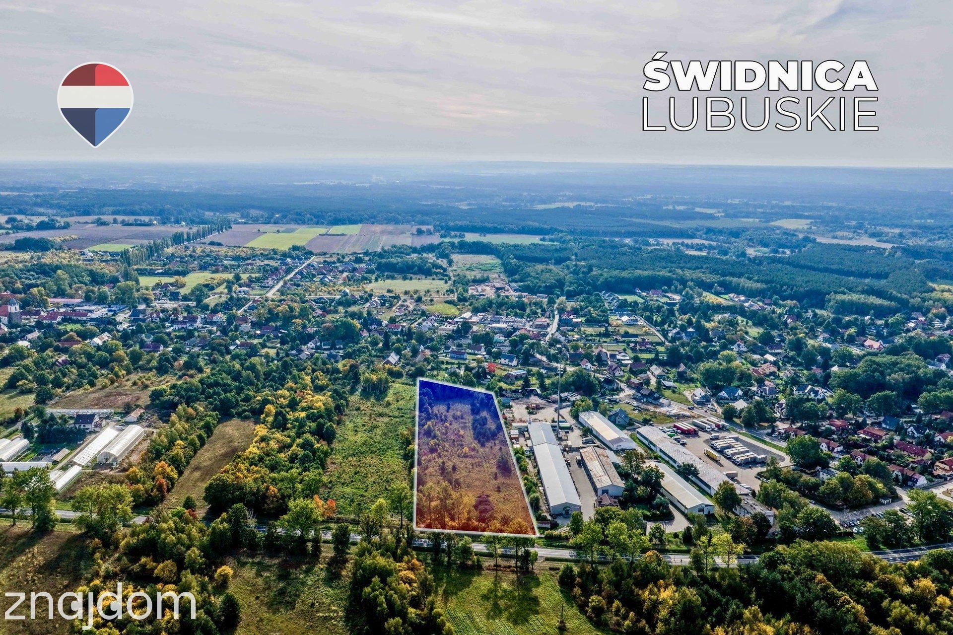 Teren inwestycyjny 1,62 ha przy DK27 - zdjęcie 10