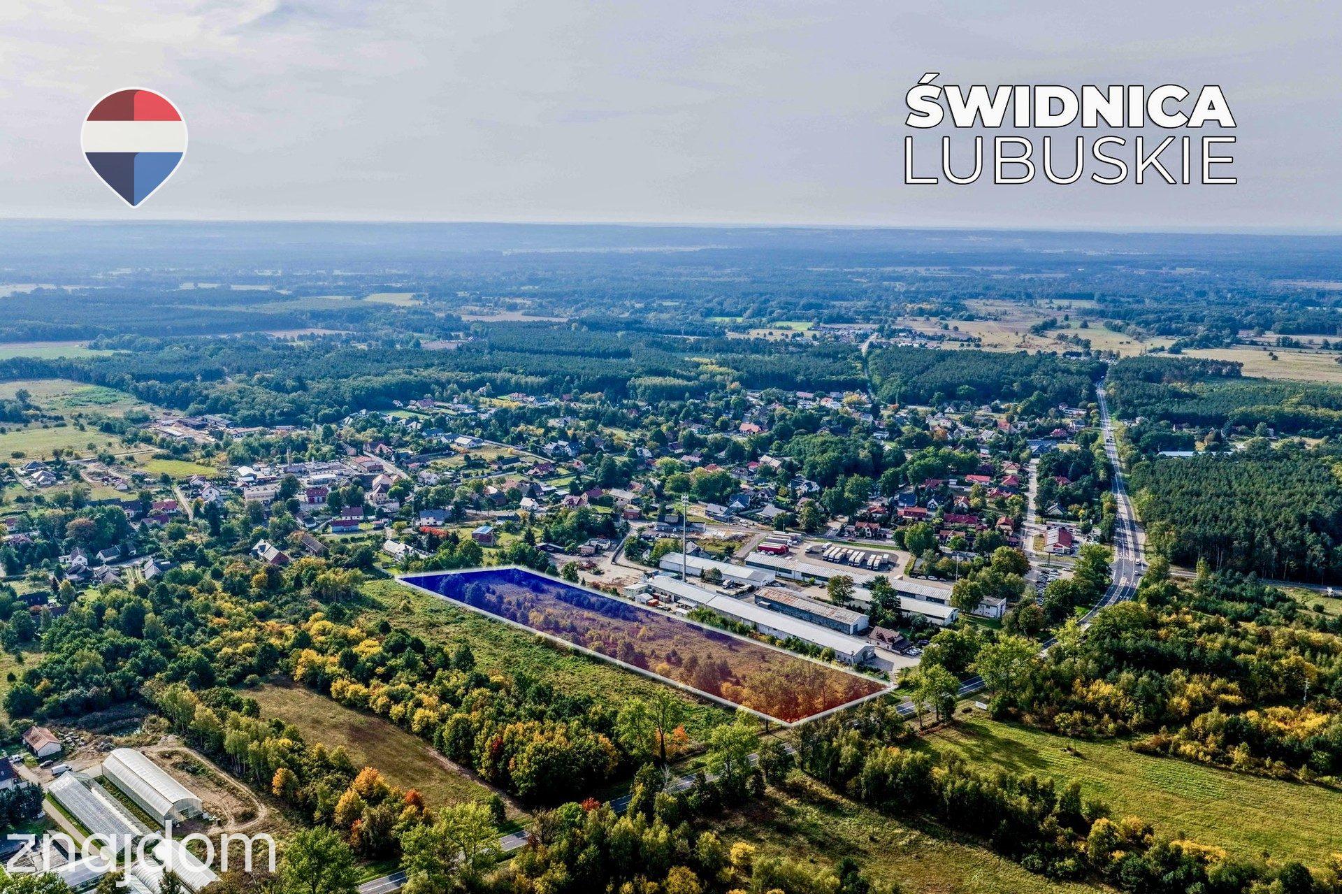 Teren inwestycyjny 1,62 ha przy DK27 - zdjęcie 12