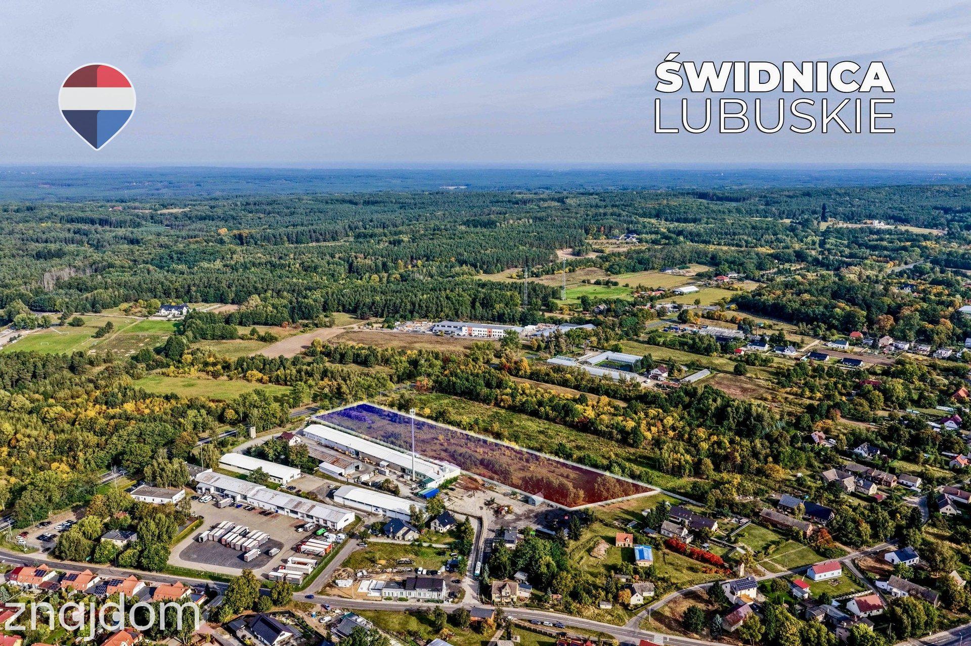 Teren inwestycyjny 1,62 ha przy DK27 - zdjęcie 16