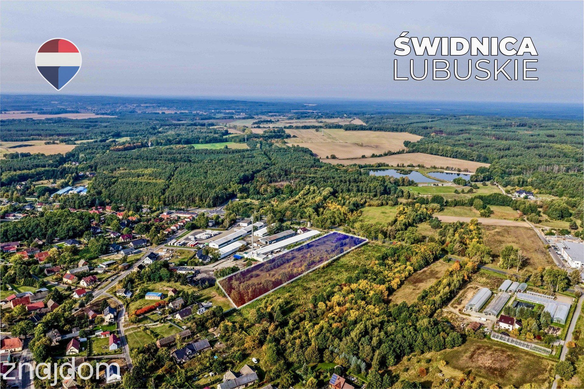 Teren inwestycyjny 1,62 ha przy DK27 - zdjęcie 18