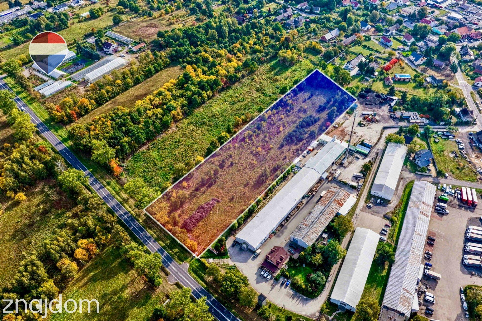 Teren inwestycyjny 1,62 ha przy DK27 - zdjęcie 7
