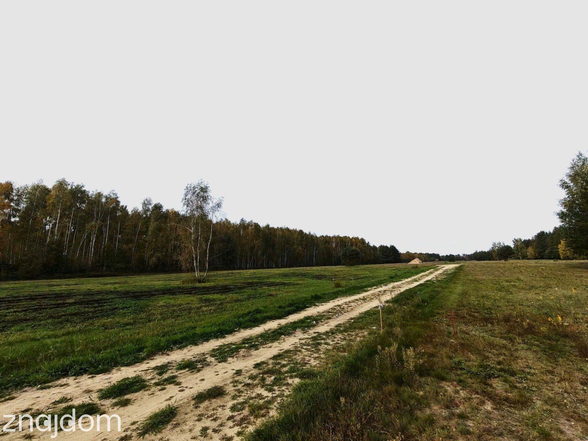 Działa budowlana 1125m2, Wilków Polski - zdjęcie 7