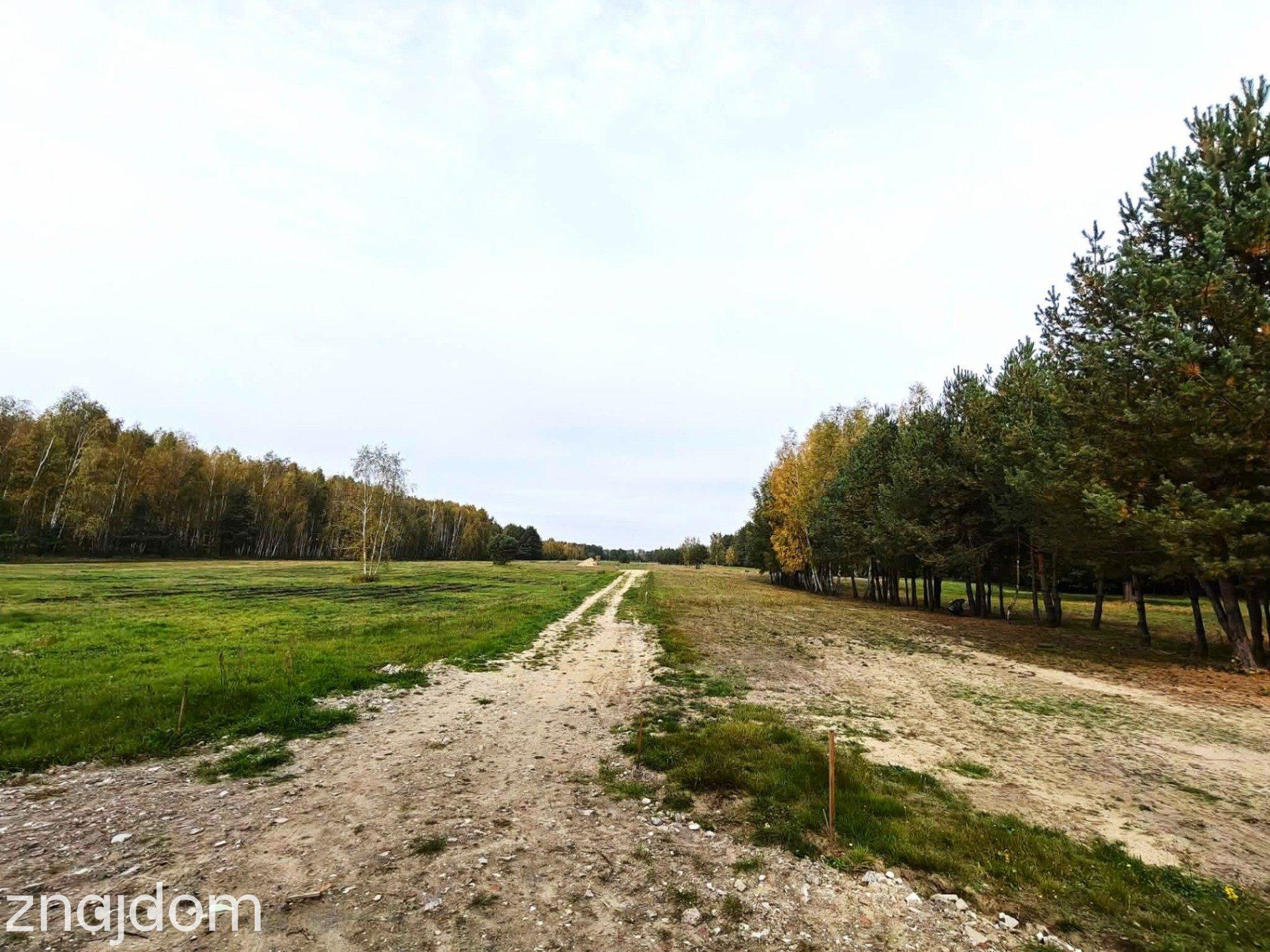 Działka budowlana 1045m2, Wilków Polski - zdjęcie 6