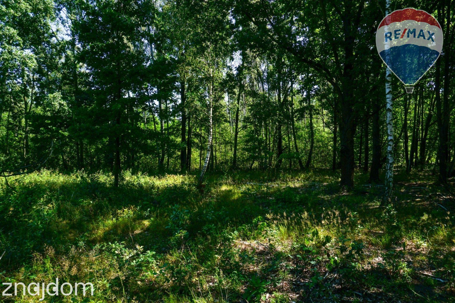 Działka budowlana 1018m2, Grądy k. Żyrardowa - zdjęcie 4