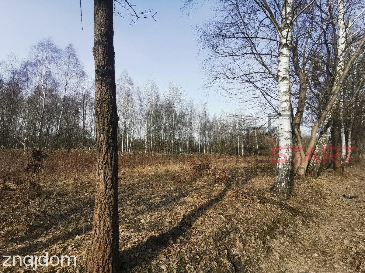 Działki pod usługi i mieszkaniówkę. - zdjęcie 5