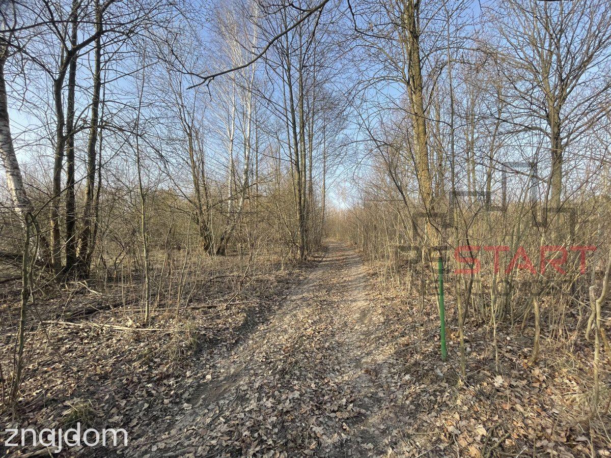 Działka z domkiem rekreacyjnym i prądem. Zapraszam - zdjęcie 11