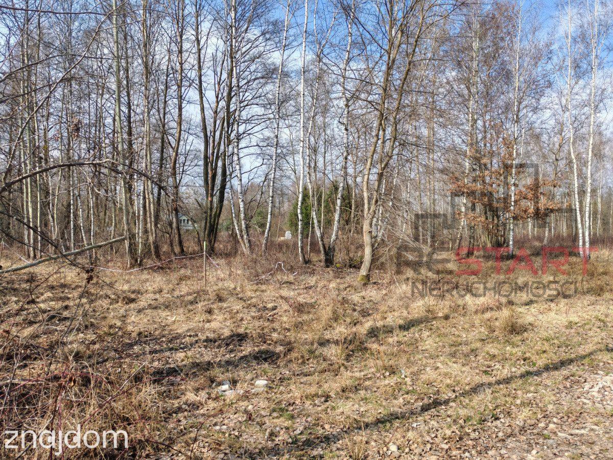2000 m² pod dom - Czarny Las - zdjęcie 2