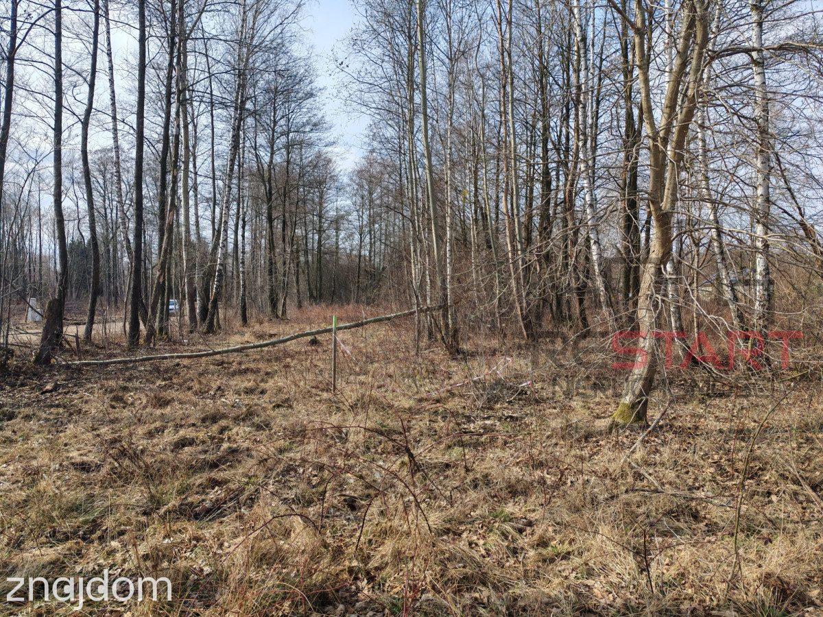 2000 m² pod dom - Czarny Las - zdjęcie 3