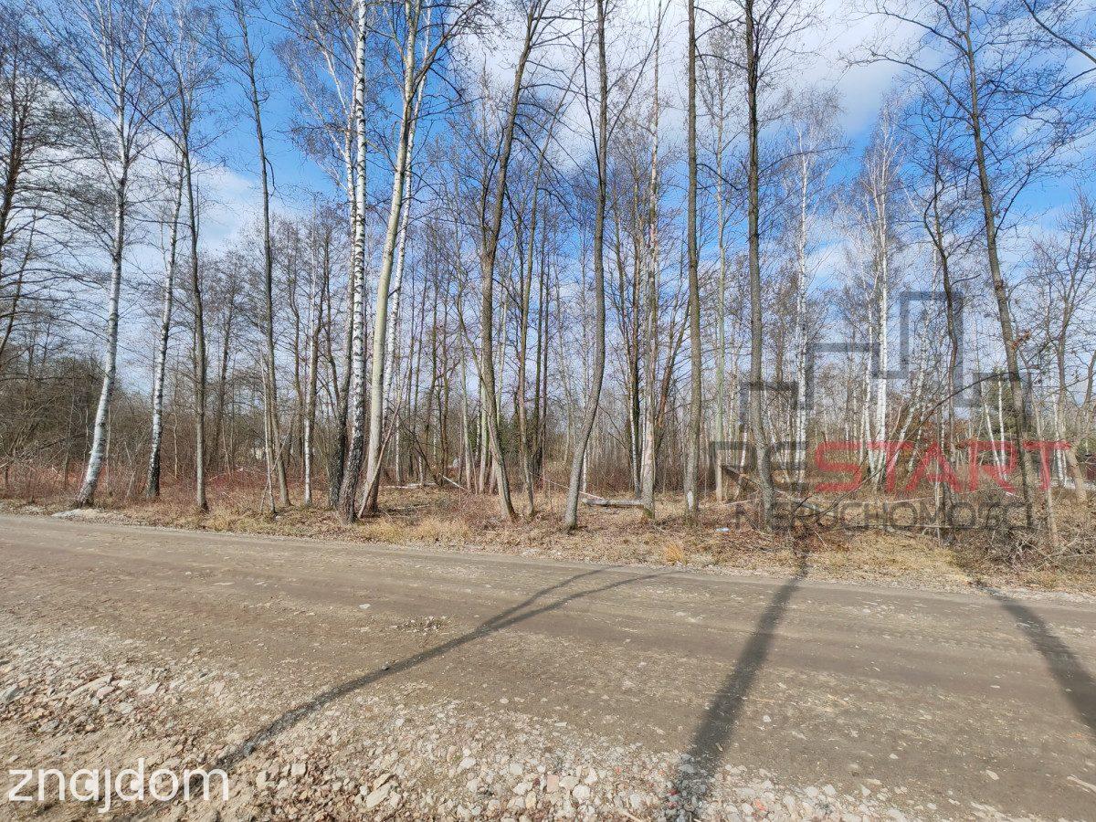 2000 m² pod dom  - Czarny Las