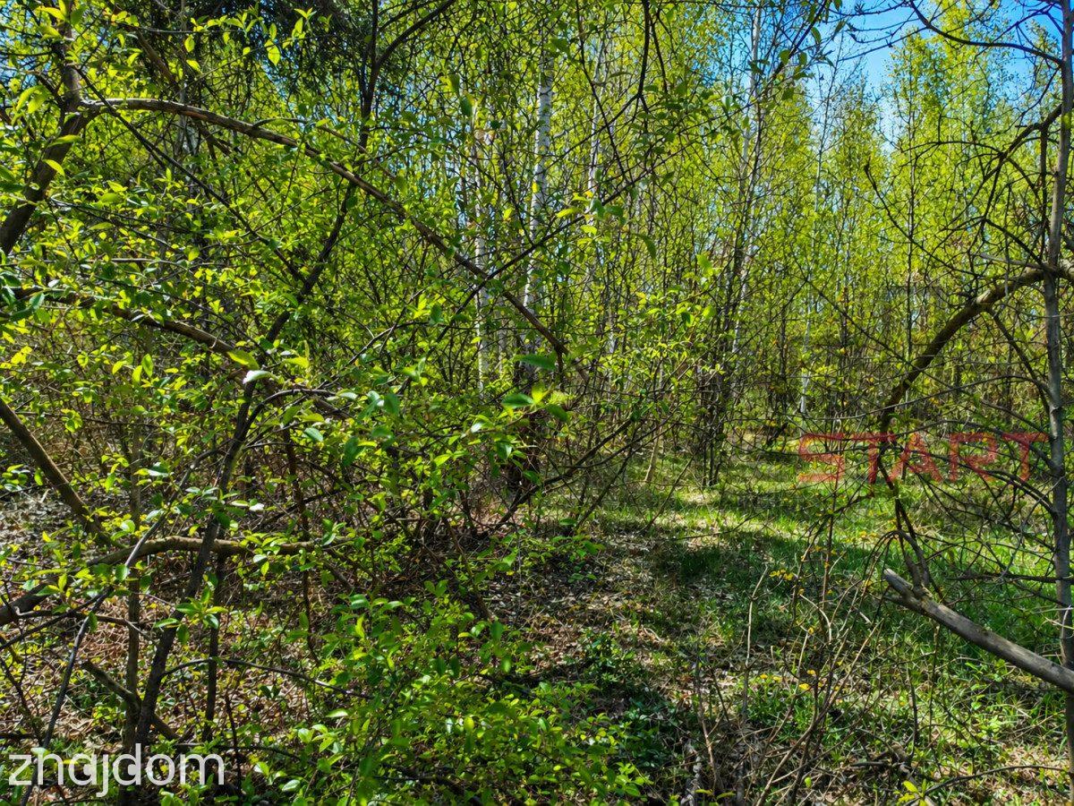 Atrakcyjna działka 1426 m² – Musuły - zdjęcie 6