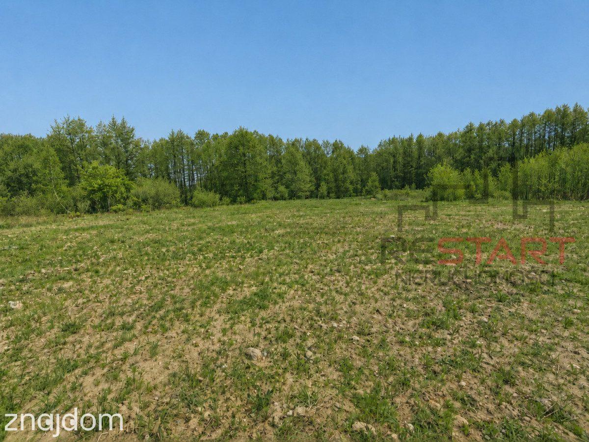 Działka Zboiska 4390 m²– szybki dojazd do Warszawy - zdjęcie 3