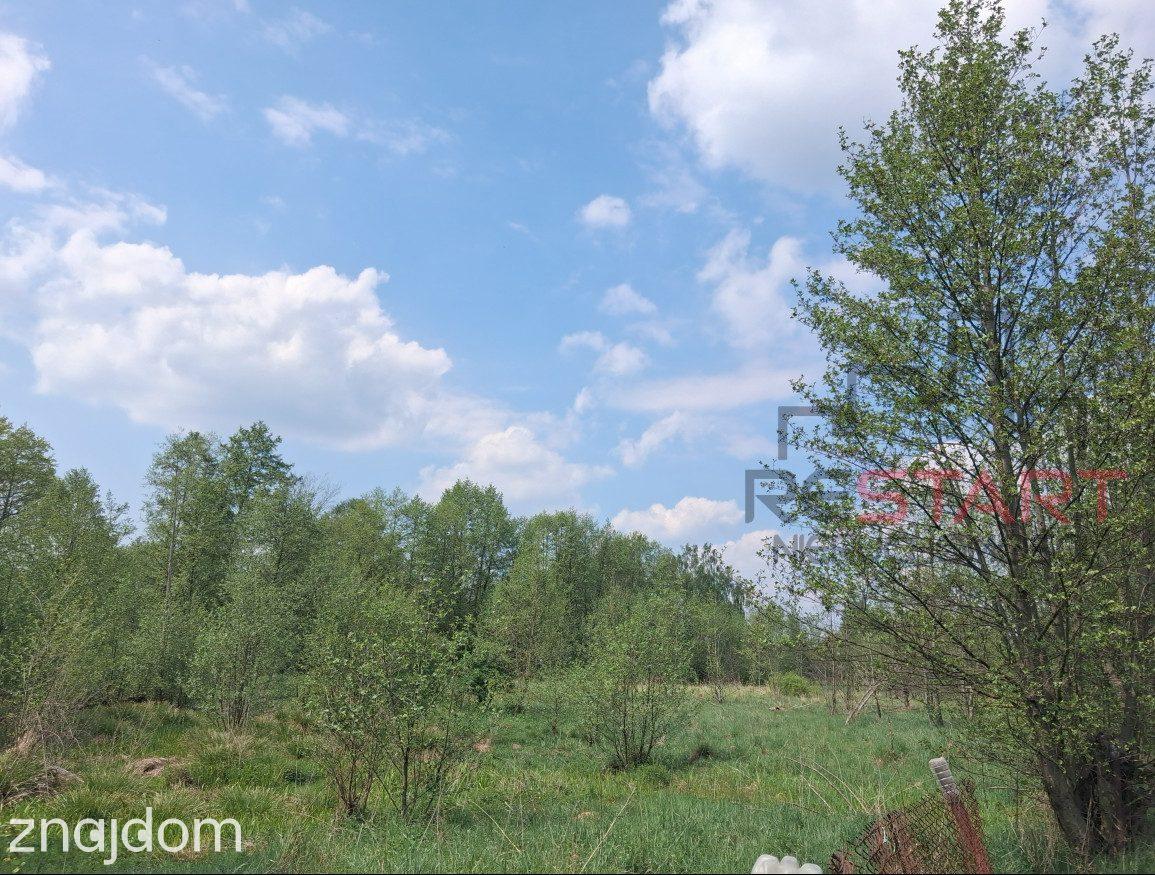 Siedlisko koło Tarczyna 1,7 ha - 850 tys. - zdjęcie 3