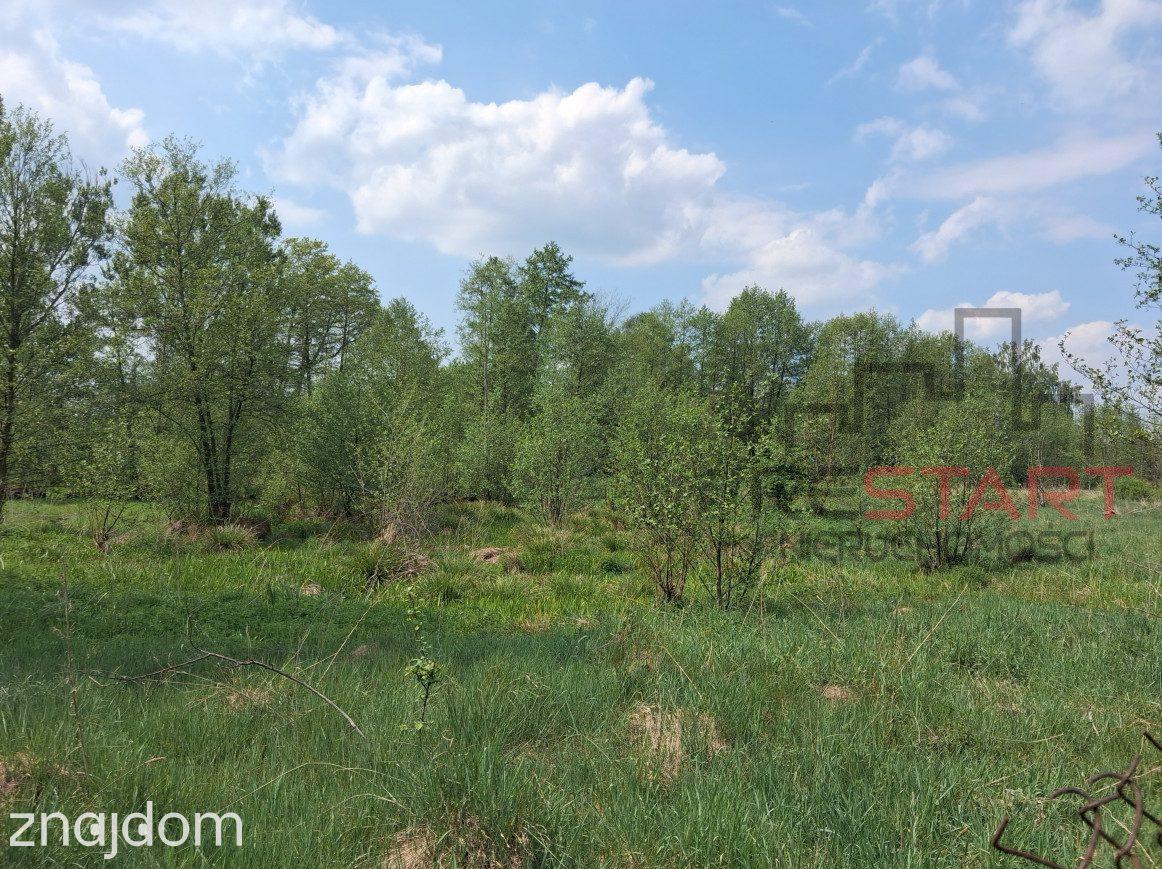 Siedlisko koło Tarczyna 1,7 ha - 850 tys. - zdjęcie 6