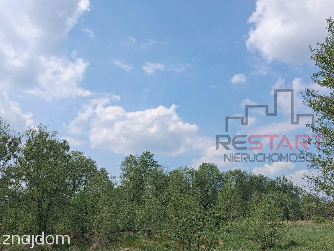 Siedlisko koło Tarczyna 1,7 ha - 850 tys. - zdjęcie 4