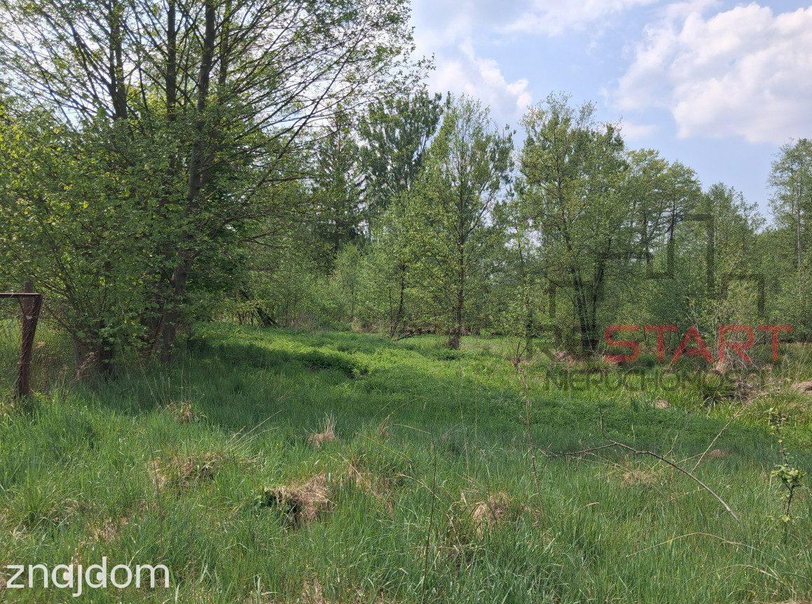 Siedlisko koło Tarczyna 1,7 ha - 850 tys. - zdjęcie 7