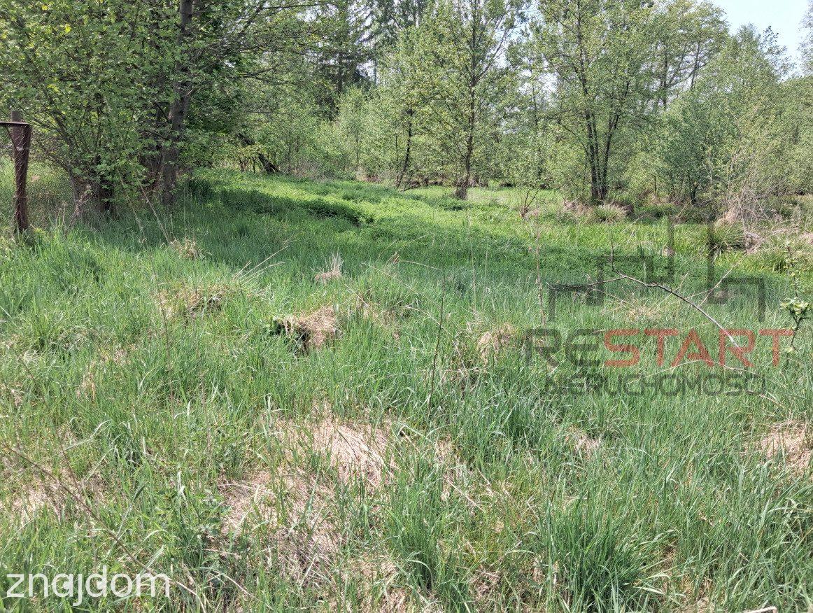 Siedlisko koło Tarczyna 1,7 ha - 850 tys. - zdjęcie 8