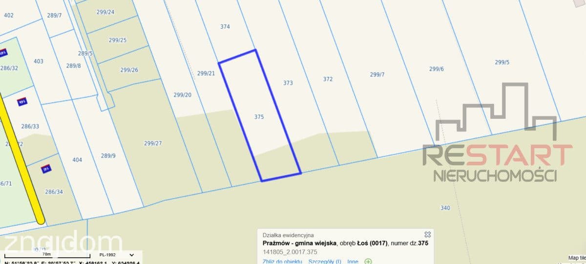 budowlana działka z lasem Łoś gm. Prażmów - zdjęcie 10