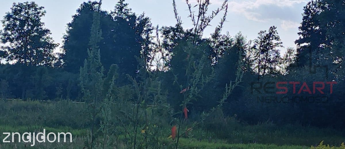 budowlana działka z lasem Łoś gm. Prażmów - zdjęcie 5