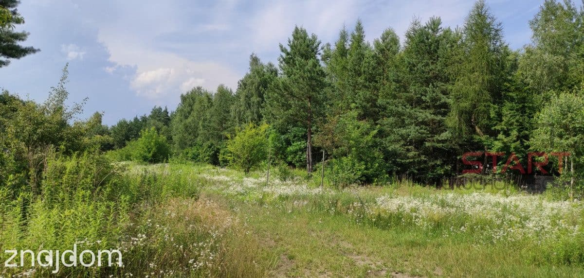 budowlana działka z lasem Łoś gm. Prażmów