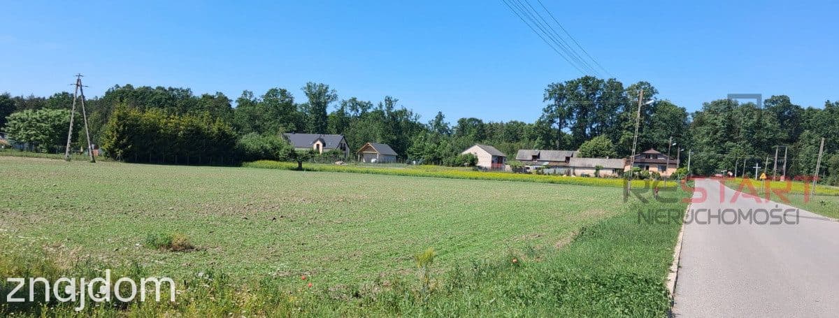 Malownicza działka w Grochowej - 1500 m2 - zdjęcie 2