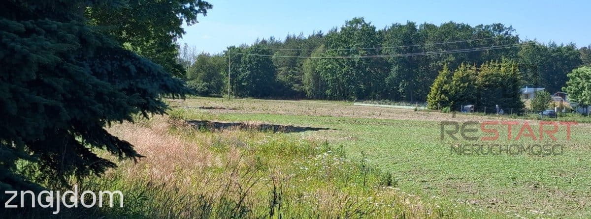 Malownicza działka w Grochowej - 1500 m2 - zdjęcie 3