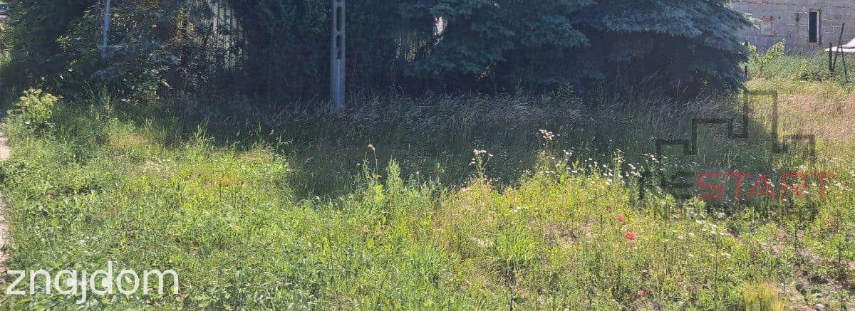 Malownicza działka w Grochowej - 1500 m2 - zdjęcie 4