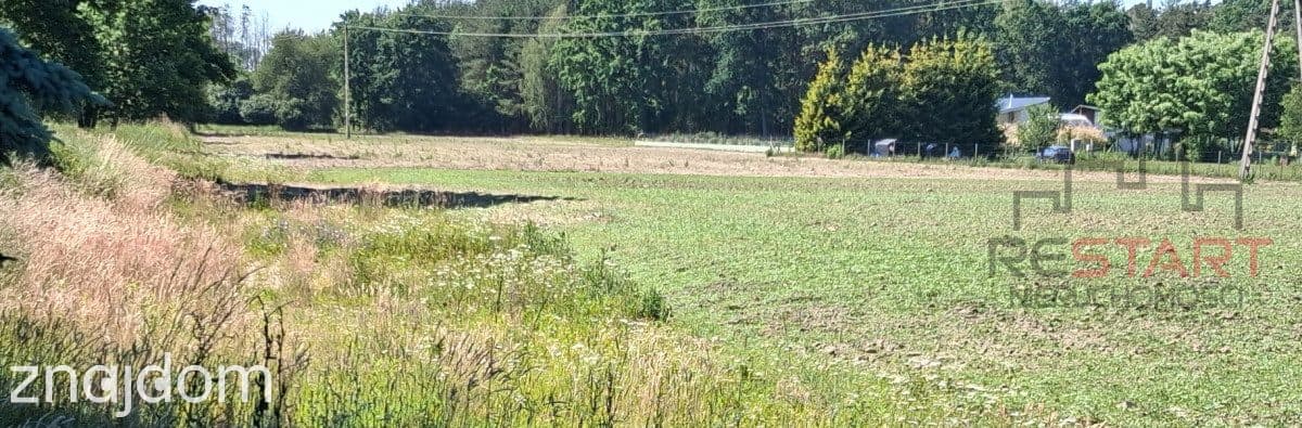 Malownicza działka w Grochowej - 1500 m2 - zdjęcie 6