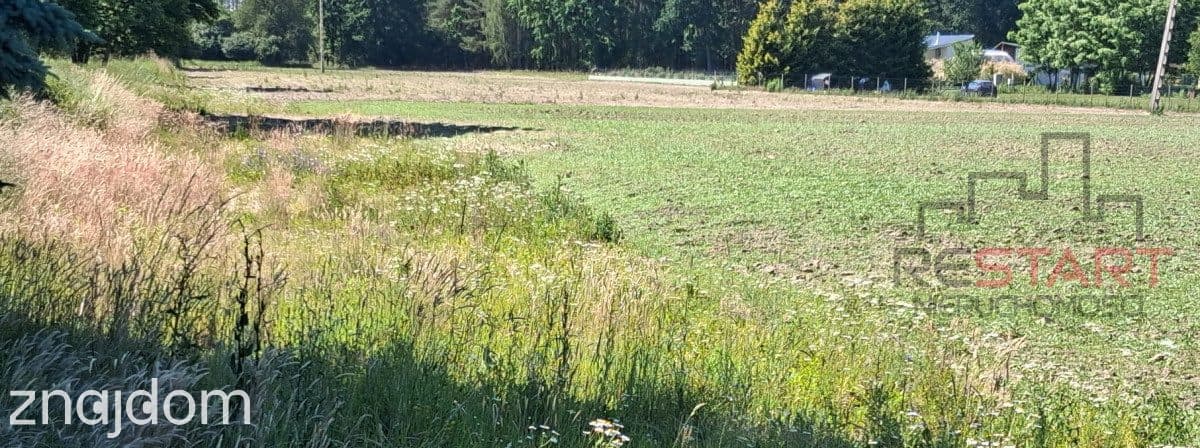 Malownicza działka w Grochowej - 1500 m2 - zdjęcie 7